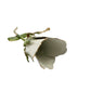 vintage long stem white flower BROOCH floral jewelry pin *missing pin* repair