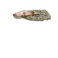 vintage WMCA pink & clear rhinestones Dress scarf Clip sparkle jewelry
