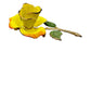 vintage enamel yellow metal flower BROOCH floral jewelry pin stem leaves