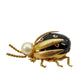 vintage black red & gold Beetle Bug BROOCH insect jewelry pin faux pearl