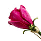 vintage enamel hot pink metal flower BROOCH floral jewelry pin